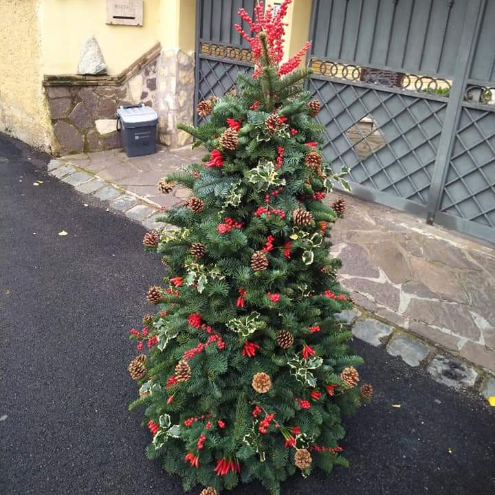 Composizioni floreali Natale, il regalo originale e naturale